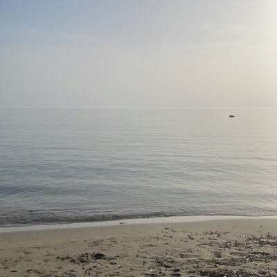 SheenieChant's profile picture. ta da !!!
