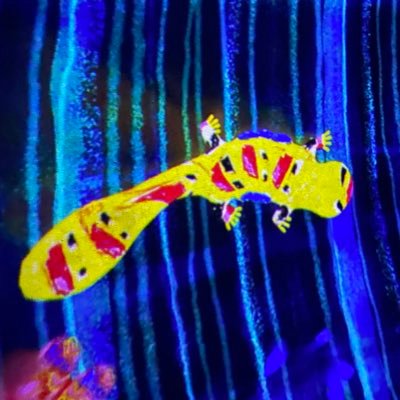 waretensainari's profile picture. 名誉奈良県民 nd78