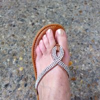 Pollyfoot (@pollyfoot1) 's Twitter Profile