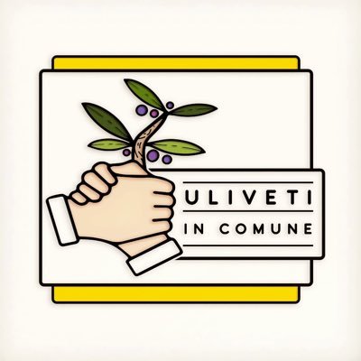 Uliveti in comune è la prima DAO italiana di agricoltura rigenerativa. Rigeneriamo uliveti abbandonati, produciamo olio EVO di qualità superiore.