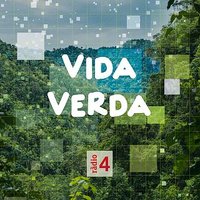 Vida Verda(@Vida_Verda) 's Twitter Profile Photo