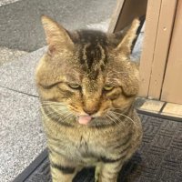 人吉 (@akypjxisnu5xycv) 's Twitter Profile