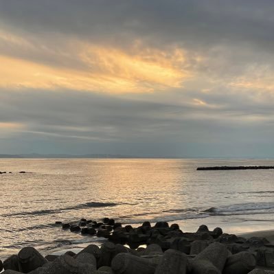 ayumu112911's profile picture. 