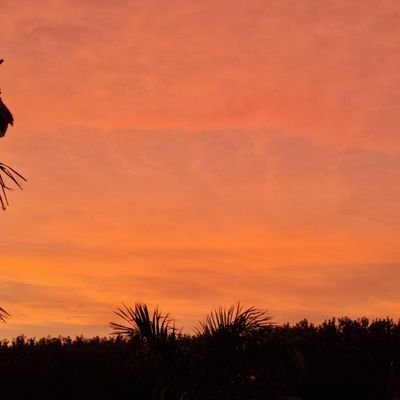 jogavailly's profile picture. Farmer with a difference