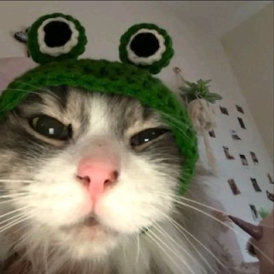 🦥