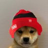 martinasanta3's profile picture. Tifosa dell’AC Milan