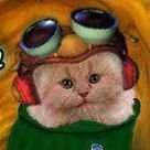 _tvoy_senpai_'s profile picture. Сайтолог