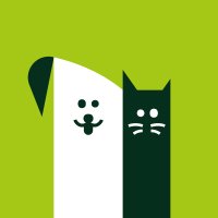 Edinburgh Dog and Cat Home(@EdinDogCatHome) 's Twitter Profileg