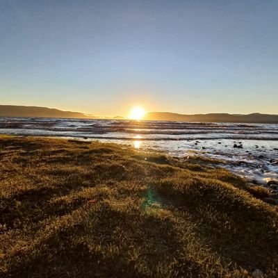 valebarria1's profile picture. 