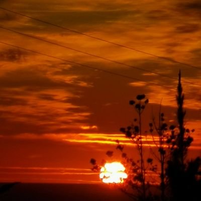 Rocamol3's profile picture. 