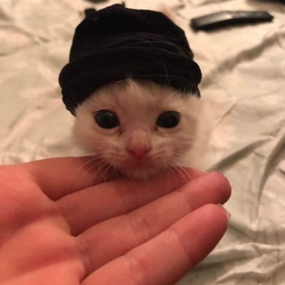 minionsluvr's profile picture. i 🫶🏼 valkyrae ʚɞ | ʚɞ moussy enthusiast 🫶🏼