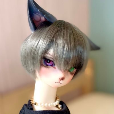 datou_takenoko Profile Picture