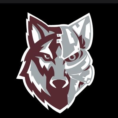 DHS_robotics22's profile picture. Davenport High School Robotics Team 22-23