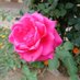 Abrar Khan (@abrarkh65390021) Twitter profile photo Abrar Khan (@abrarkh65390021) Twitter profile photo