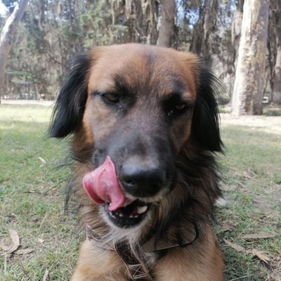 dieflo666's profile picture. Enjoy it!