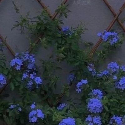 muskanS61945792's profile picture. 💞🦋