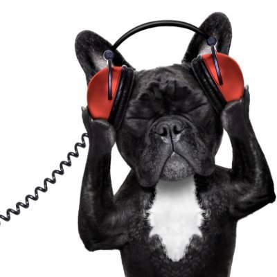 MochelMusic's profile picture. I make music with my computer, a few keyboards, many plug-ins (most that I don't use), and several cups of espresso.