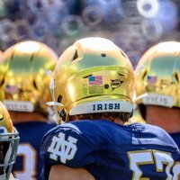 Tim (@domengolder) 's Twitter Profile Photo Tim (@domengolder) 's Twitter Profile Photo