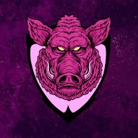 Piggy eSports (@piggy_esports) 's Twitter Profile Photo