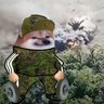 sjremes's profile picture. Finn, reserve officer, IT consultant, #NAFO fella.
Supports: Ukraineaidops, Geedawg, Mriya aid, Georgian legion, @dim0kq and most of all bonking invaders.