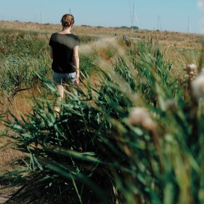 lausilov's profile picture. 