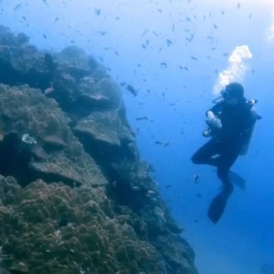 easytoska's profile picture. or a person known by many names