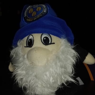 Davewynn11's profile picture. Fun loving mad Shrewsbury town fan