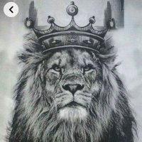 Lion 🦁 (@wintobigo) 's Twitter Profile