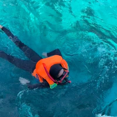 _ladyfingers's profile picture. A Yummy pie that you've been craving for