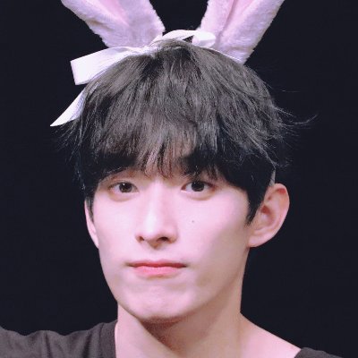 하이브의 노예
스타티스 줄여서 티스
🌷스타티스 꽃말 영원한 사랑🌷