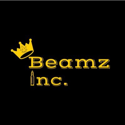 Beamz Inc | Esports & Content Creation Organization | EST. 2021 | Members followed