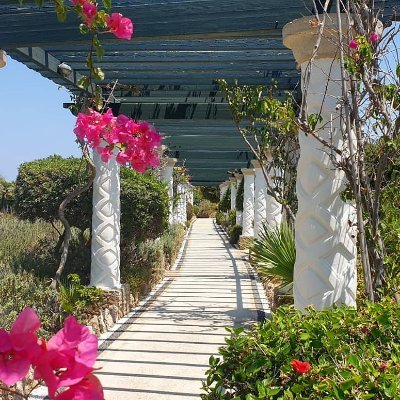 Harry67384116's profile picture. 