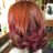 mikimikitty0423