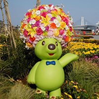 タムタム| 外資系投資銀行・英語学習・投資垢 (@freeeroom_new) Twitter profile photo