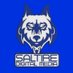 Saltire Digital Media 🎥⚽️ (@SaltireDM) Twitter profile photo