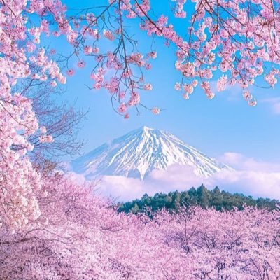 マスクはいらない。日本人が幸せに生きられることを心から願う/借金1億から資産1億/不動産投資(資産100億が現在の目標)魂を磨き続ける。