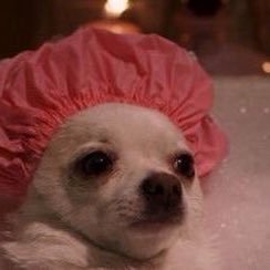 Cherry_Crayola's profile picture. 