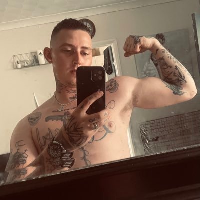 @harvey_shread