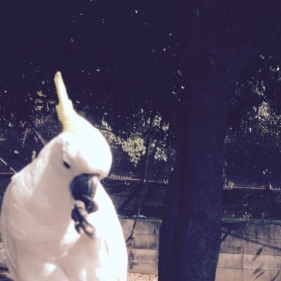 始めてみました。 アラフォーです。 兵庫県 甘いもの大好き