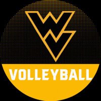 Wapsie Valley Volleyball (@wapsievball) 's Twitter Profile