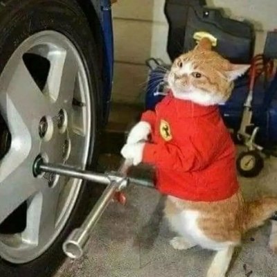 Danidanixdan's profile picture. a.