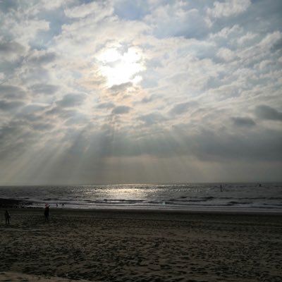 herzeblatt's profile picture. 