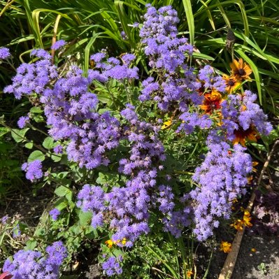 athenais73's profile picture. Infirmière