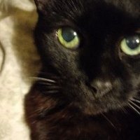 hhollyd (@hhollyd66) 's Twitter Profile