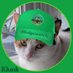 Klunk🐈 (@klunk4589) Twitter profile photo Klunk🐈 (@klunk4589) Twitter profile photo
