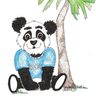 aes_pandas's profile picture. 