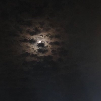 يراقب ، ثم يذم ، ثم يقلد .