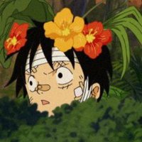 Rash (@rash00000000) 's Twitter Profile