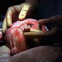 melinda maynard - @targus0415 - Twitter