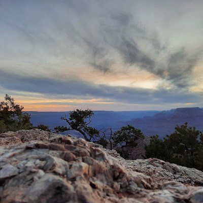 EmilyShaddox's profile picture. 